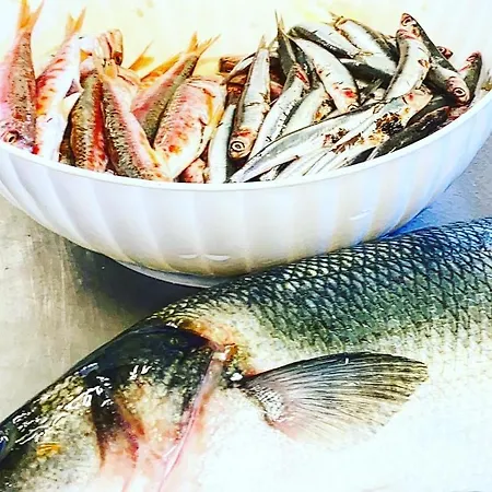 فندق Dea Della Salute