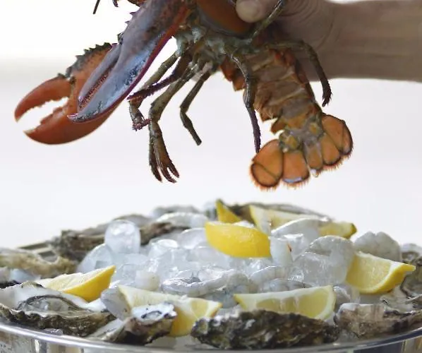 Dea Della Salute Bellaria-Igea Marina